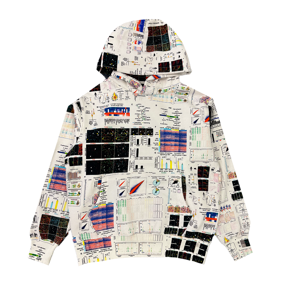 Pleasures TextBook Hoodie