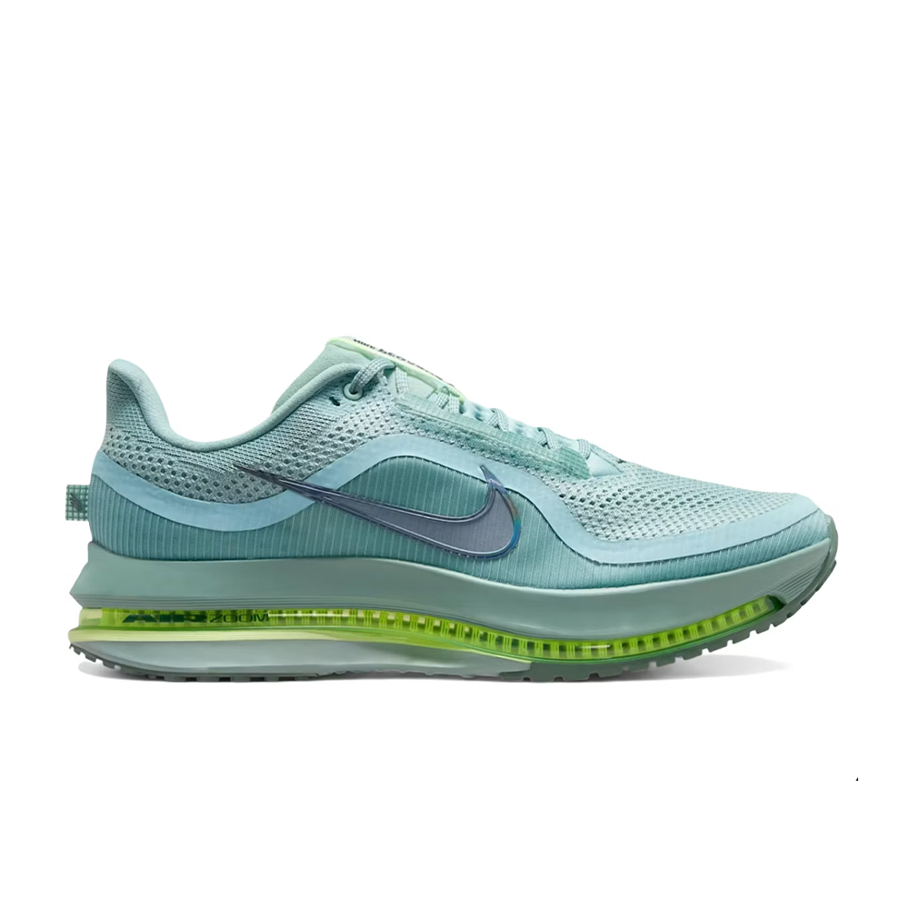 Nike Air Pegasus Premium
