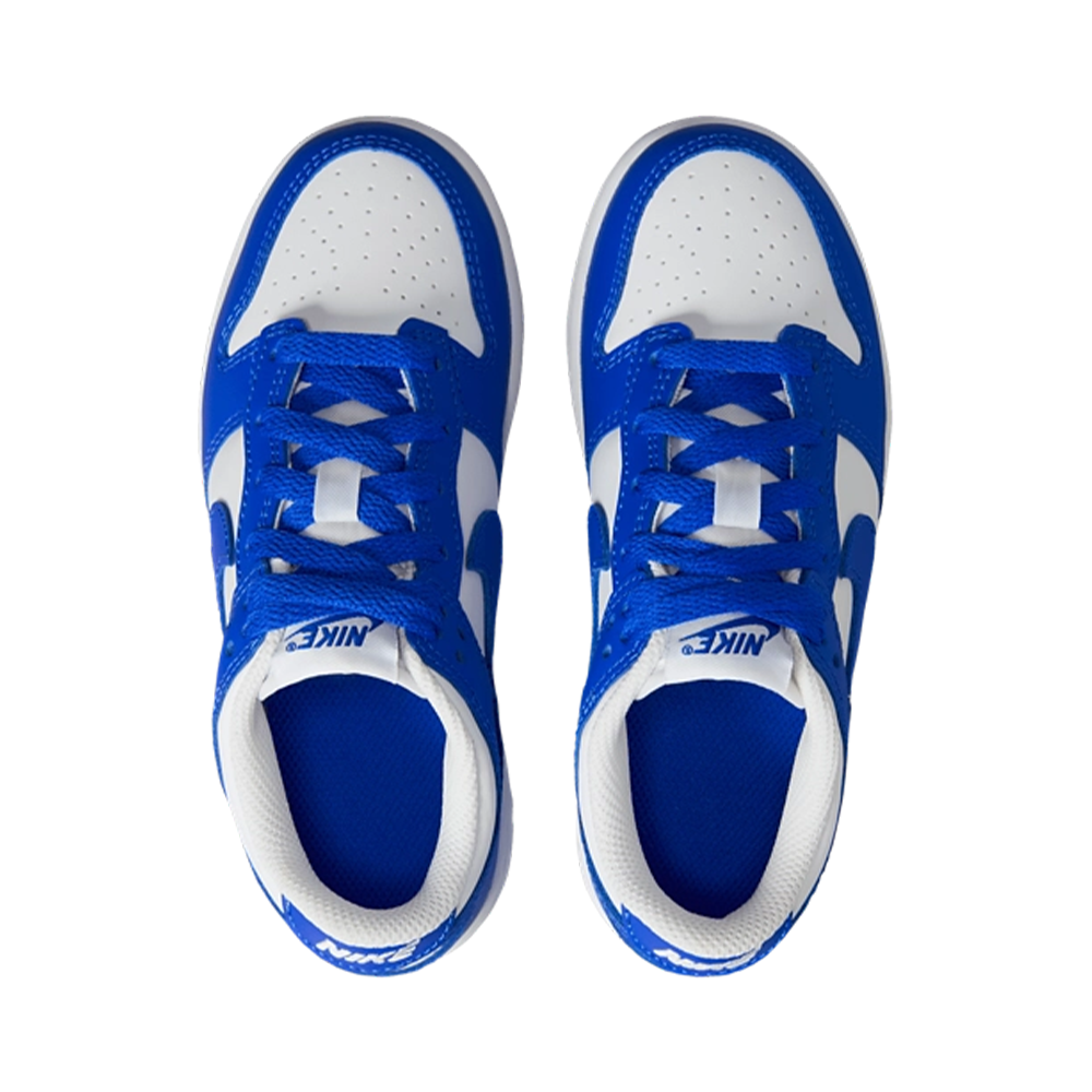 Nike Dunk Low (GS)